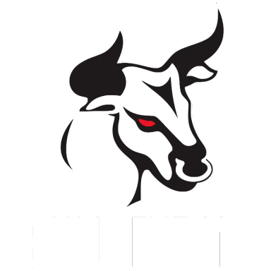 Bullseye MC